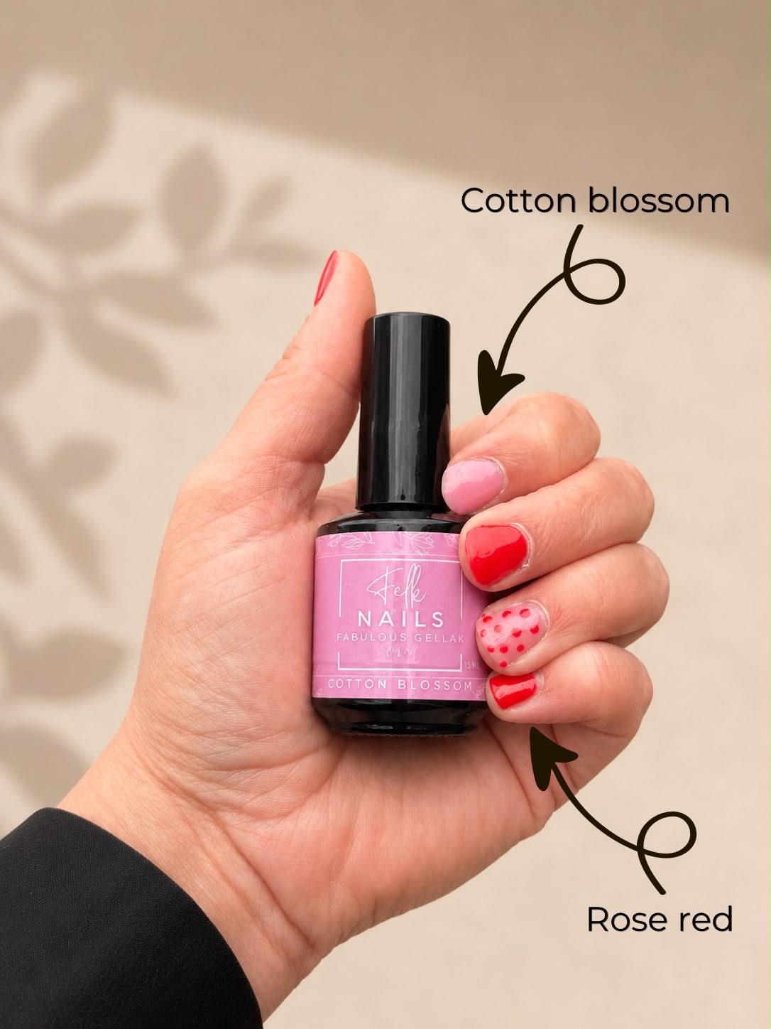 Cotton Blossom